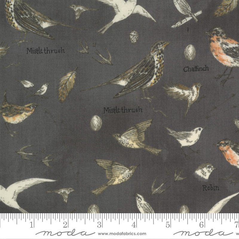 Janet Clare – Botanicals – Graphite Birds Nature Fat 1/4