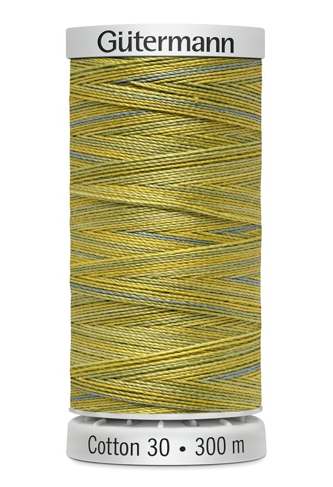 Gutermann 30 Variegated Thread 300m - 4017